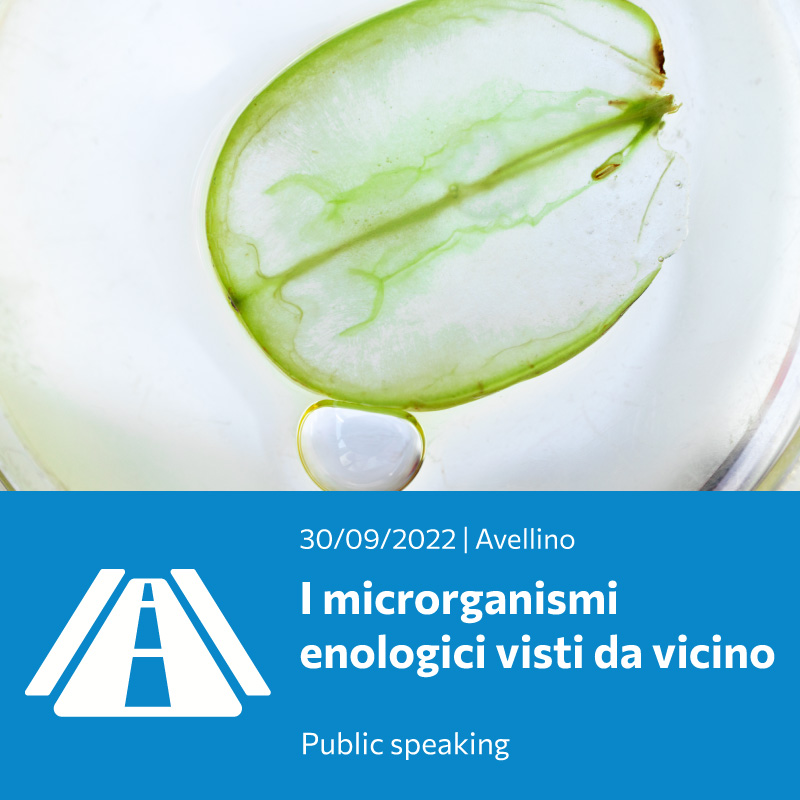 I microrganismi enologici visti da vicino
