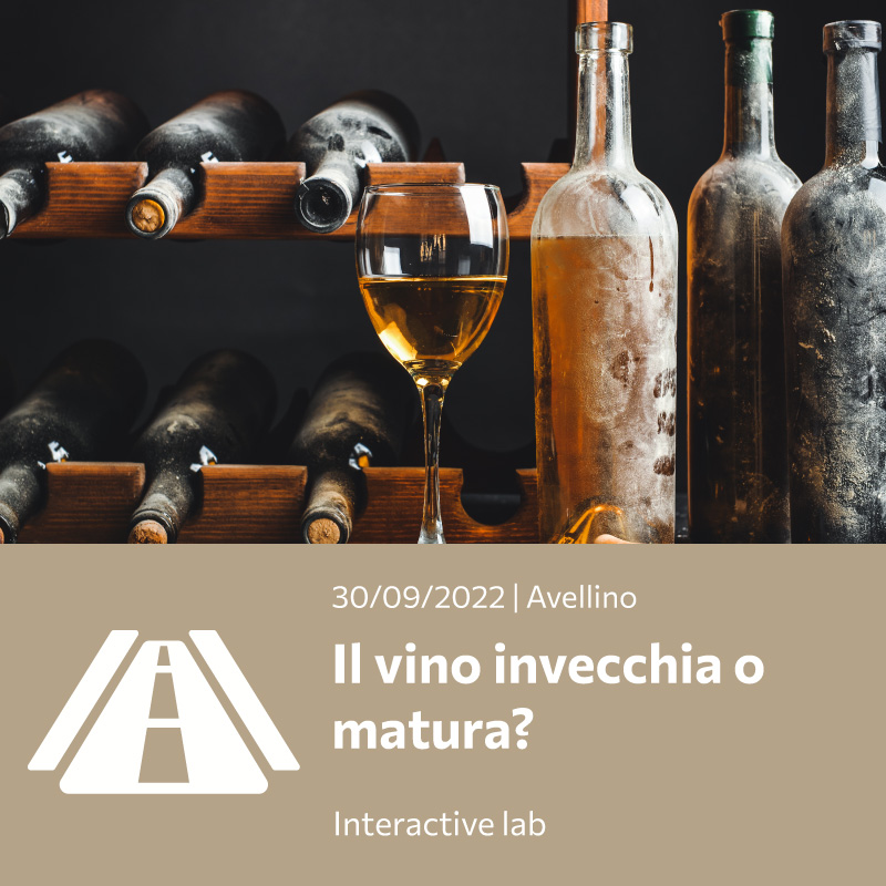 Il vino invecchia o matura?